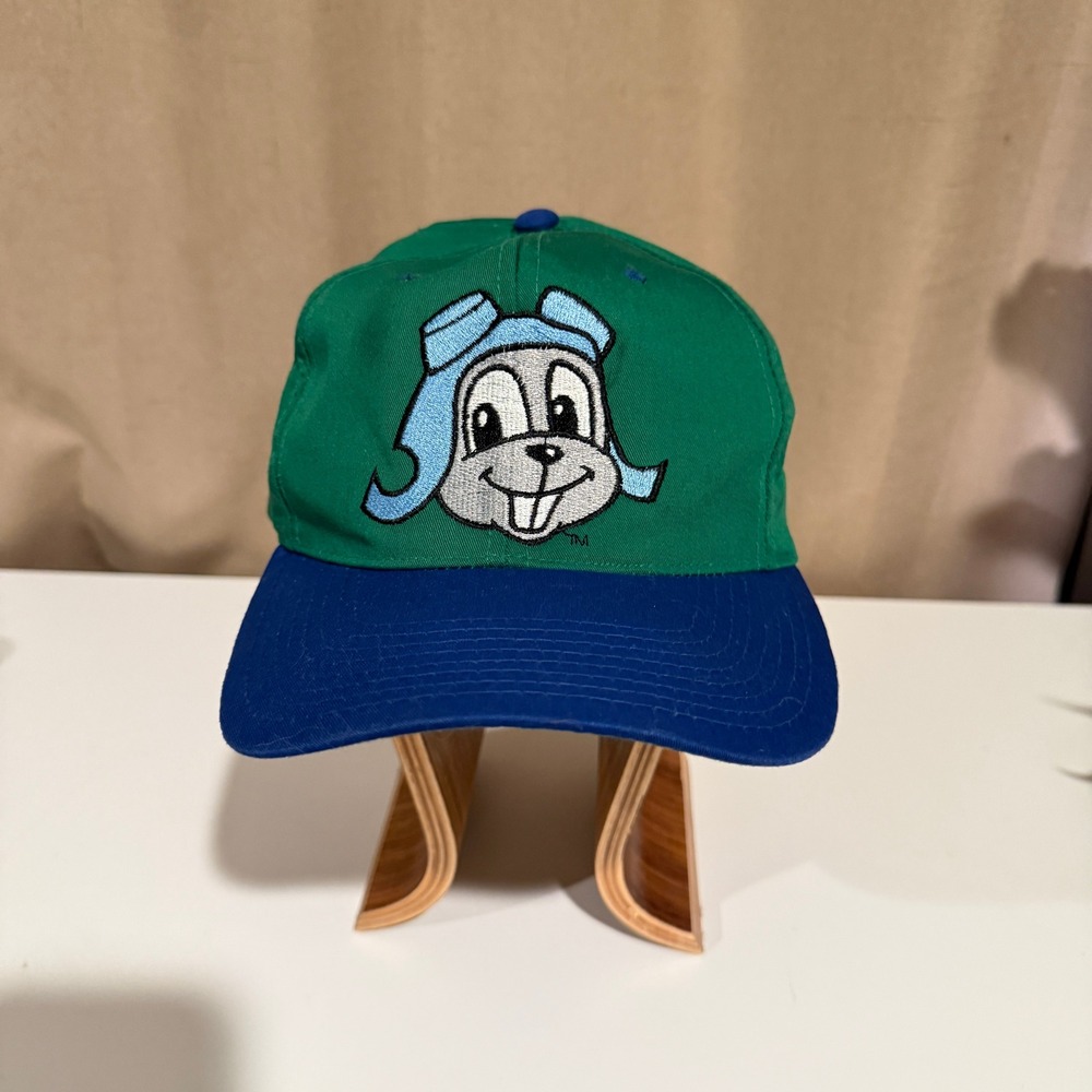 Vintage 1993 Rocky and Bullwinkle Rocky Flying Squirrel Snapback Hat Annco Green